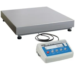 Waga precyzyjna WLC 6/F1/K